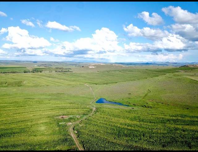 FARM FOR SALE IN BETHLEHEM RURAL